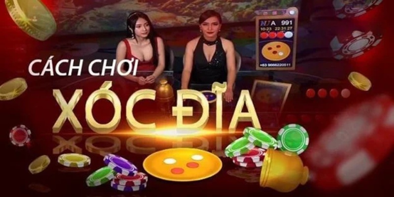 Giới thiệu đôi nét về cách bắt cầu xóc đĩa