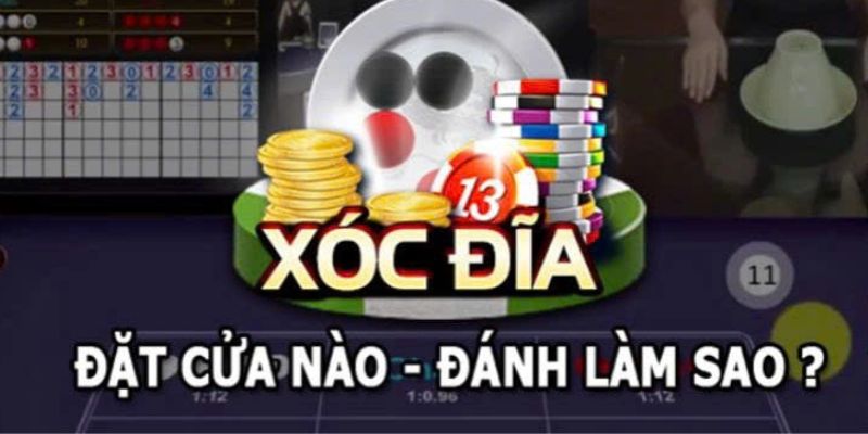 Hướng dẫn cách bắt cầu xóc đĩa từ cao thủ