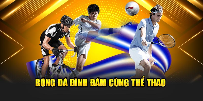Trang cược đa dạng môn thể thao 